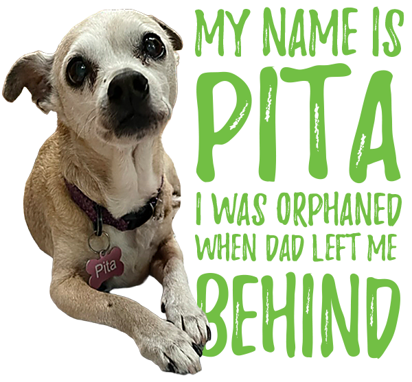 My name is Pita. I was orphaned when dad left me behind.