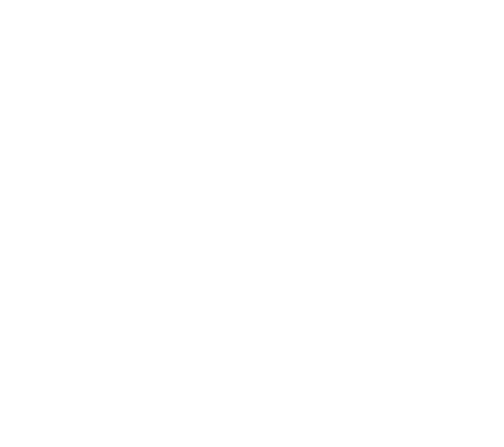 We save dogs who were abandoned, orphaned, and scheduled to be euthanized.