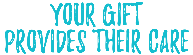 Your gift provide their care!